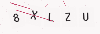 確認コード