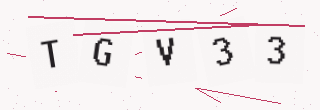 確認コード