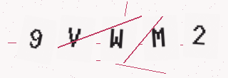 確認コード