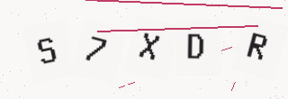 確認コード