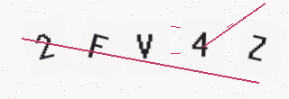 確認コード