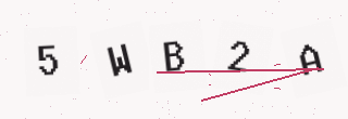 確認コード