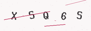 確認コード